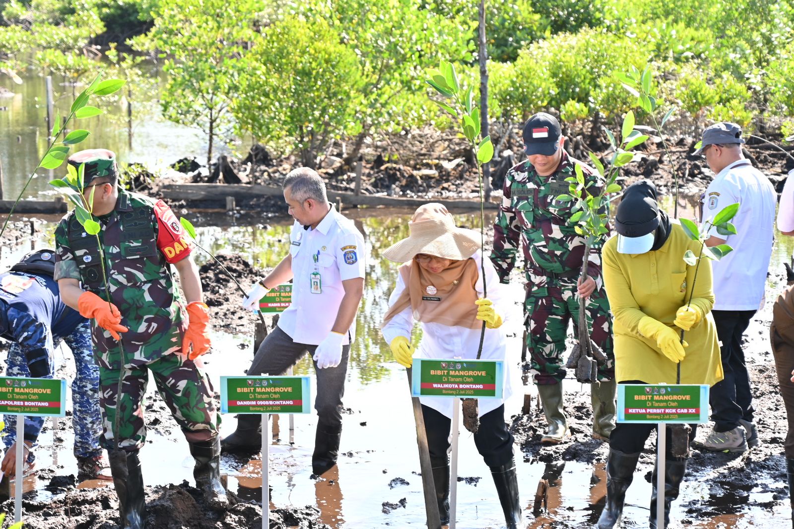 TNI Tanam Mangrove di Pesisir Bontang: Rayakan HUT Kodam VI/Mulawarman dengan Aksi Nyata