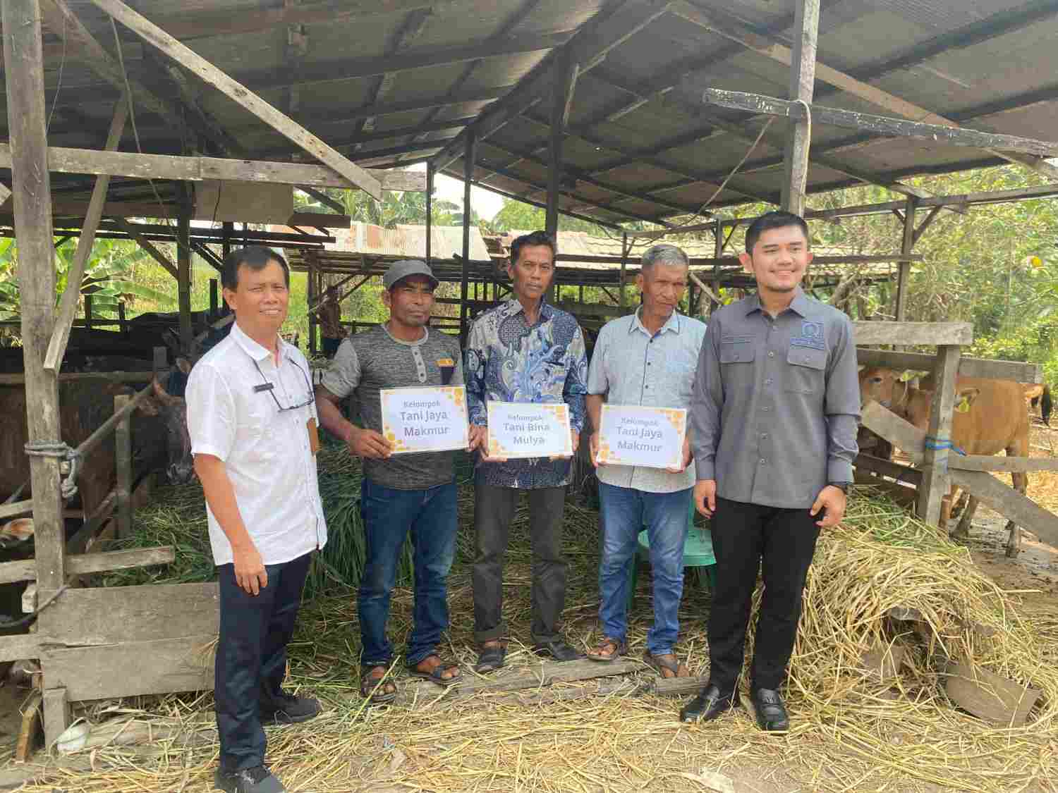 Salurkan 58 Sapi di Lempake, Andi Satya Minta Peternak Kembangkan Populasi