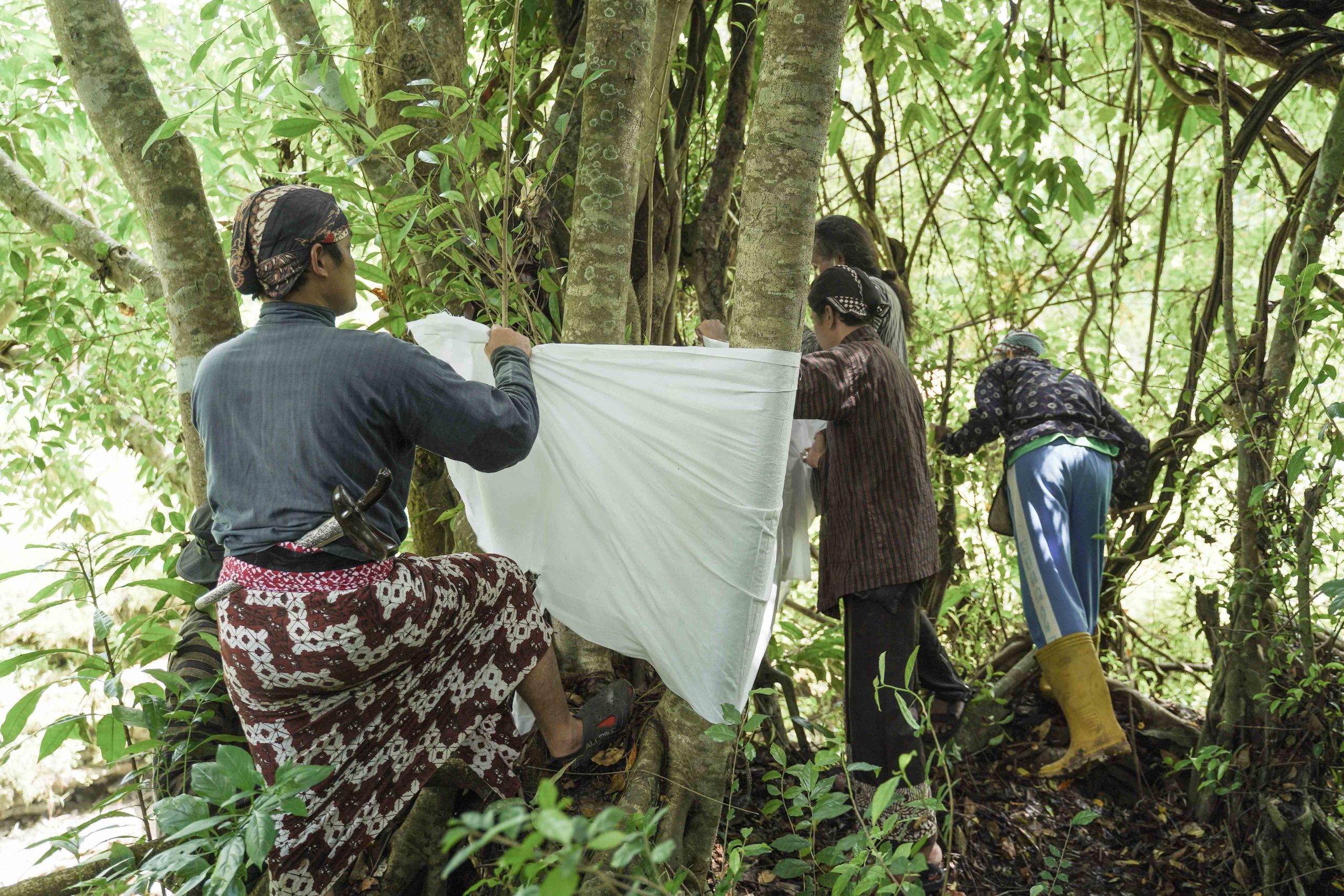 Komunitas Dicap 'Penyembah Pohon' Aktif Selamatkan Gunungkidul dari Kekeringan