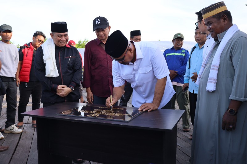 Jaringan Listrik Komunal Desa Tani Biru Diresmikan