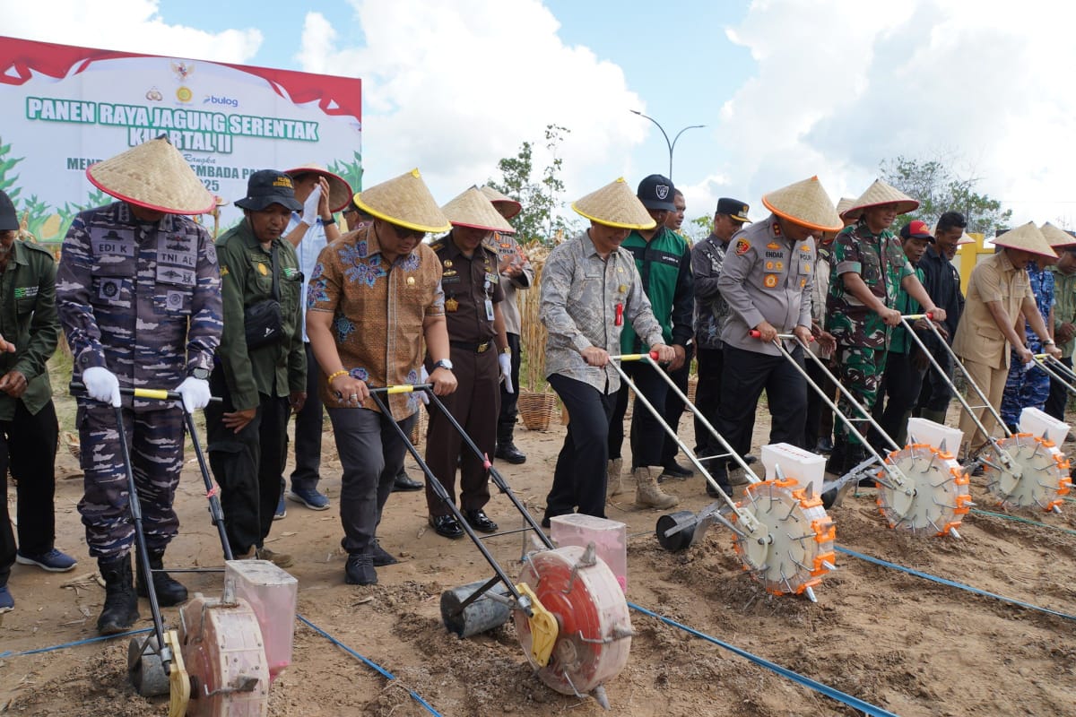 Fadly Imawan Hadiri Panen Raya Jagung Serentak di PPU, Dorong Sinergi Swasembada Pangan