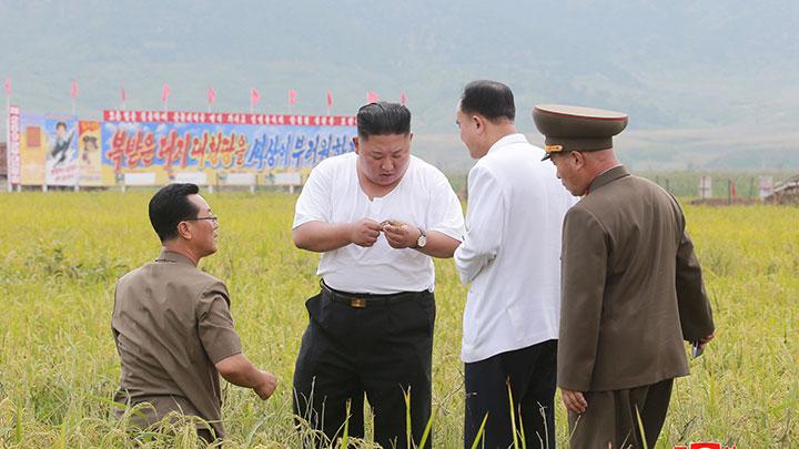 Korea Utara Krisis Pangan, Harga Sebungkus Teh Rp 1 Juta