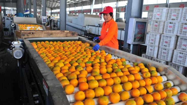 Pabrik Jeruk dan Baking Soda Rencana Dihadirkan di Kawasan Peruntukan Industri