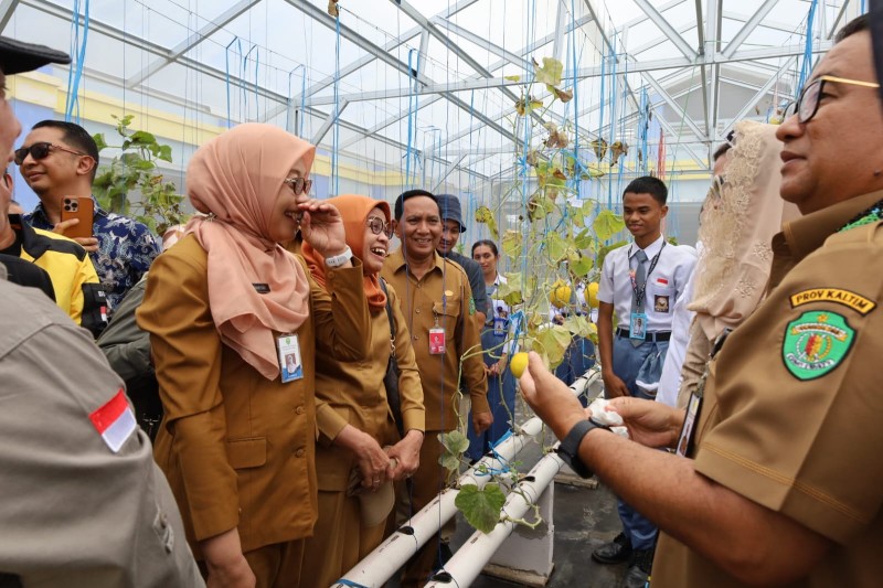 Panen Melon Hidroponik Sekaligus Penyerahan Bantuan dari Pemkab Kukar