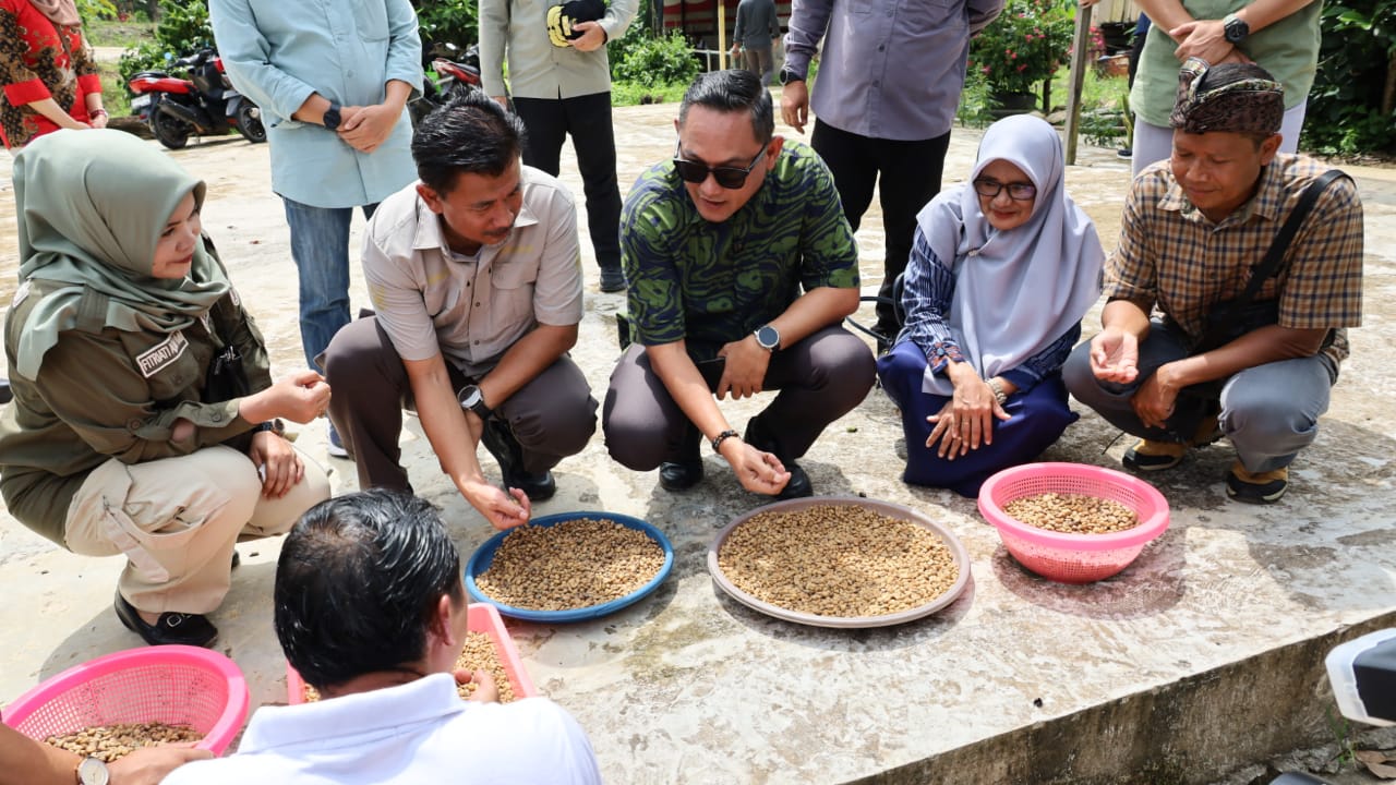 Lomba Meracik Kopi Jadi Upaya Pembangunan Pertanian Berbasis Kawasan