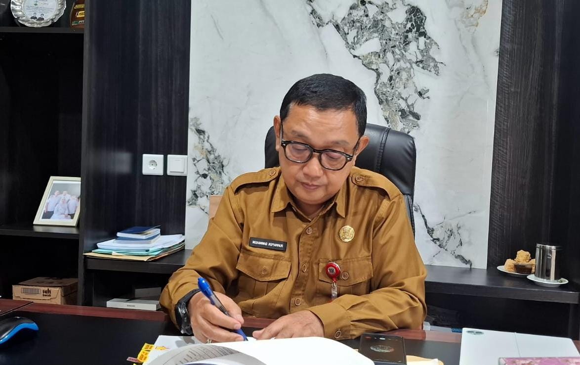 Kepala DPMPTSP Jelaskan Konsep Tentang Susun Strategi Insentif Penanaman Modal