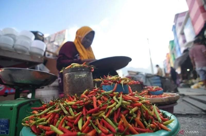 Kaltim Deflasi, Harga Cabai dan BBM Turun