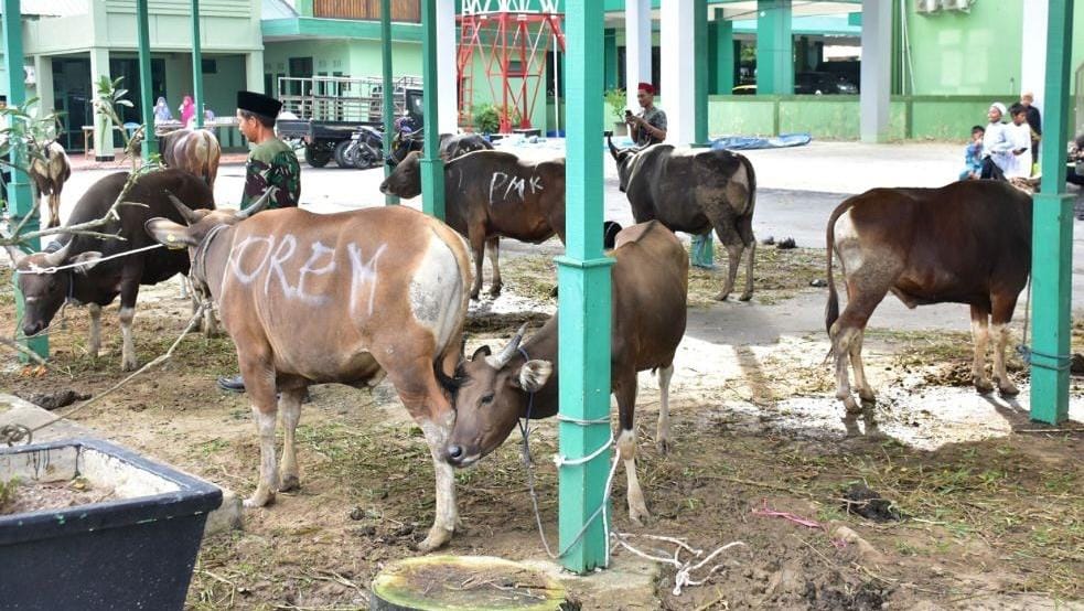 Korem 091/ASN Sembelih 17 Hewan Kurban, Danrem: Ini Saatnya Merajut Kepedulian