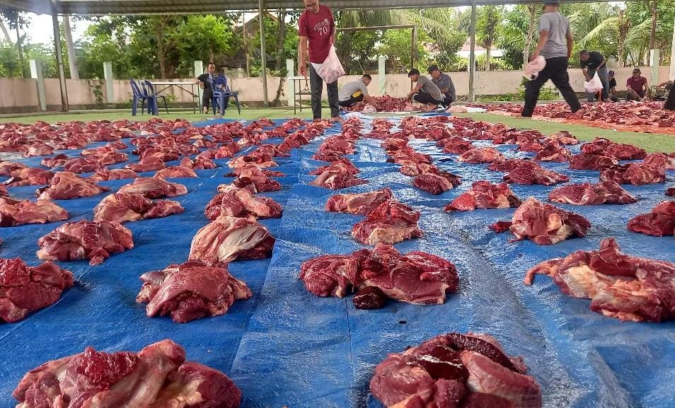 Tips Aman Konsumsi Daging Kurban, Simak Penjelasan Akademisi Unmul Ini