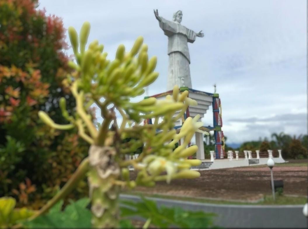 Wisata Religi Bertemu Alam, Inilah Keunikan Manokwari Kota Injil Papua Barat