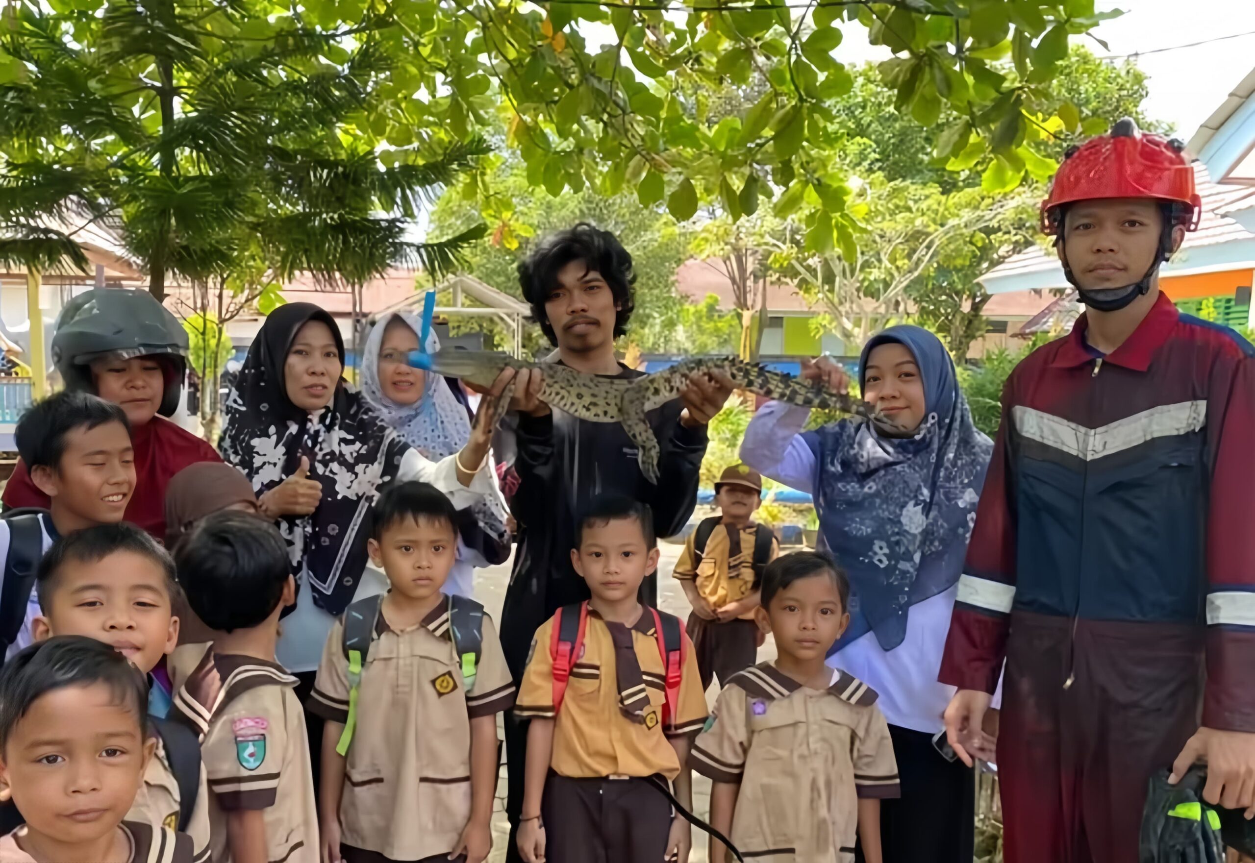?Anak Buaya Muncul di Depan TK Saat Jam Pulang, Relawan Sigap Evakuasi dalam 30 Menit