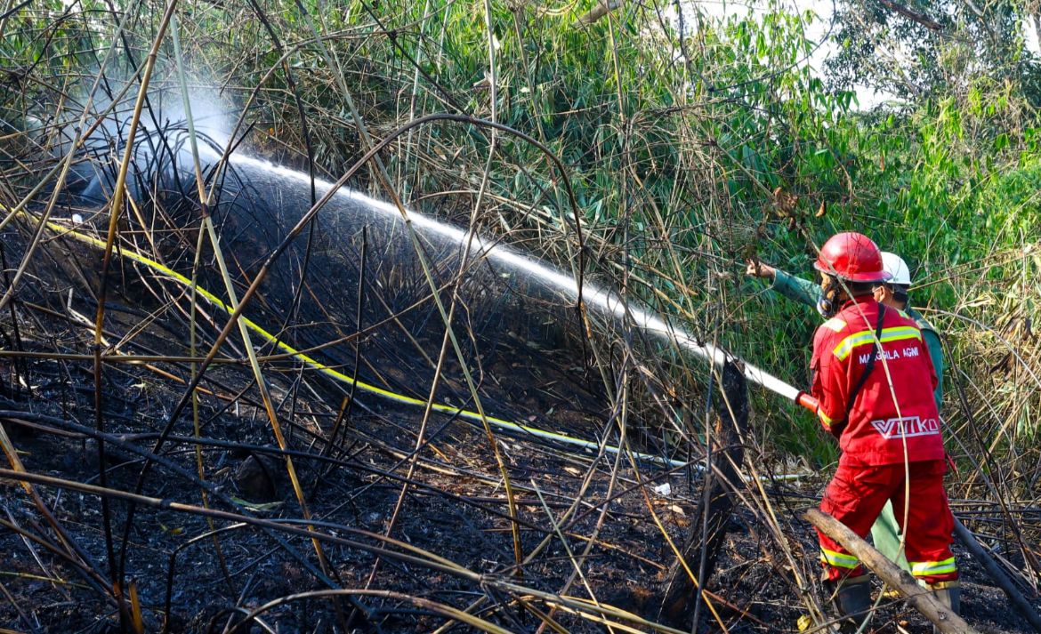 Masalah Karhutla, Otorita IKN Laporkan 1 Terduga Pembakaran Hutan