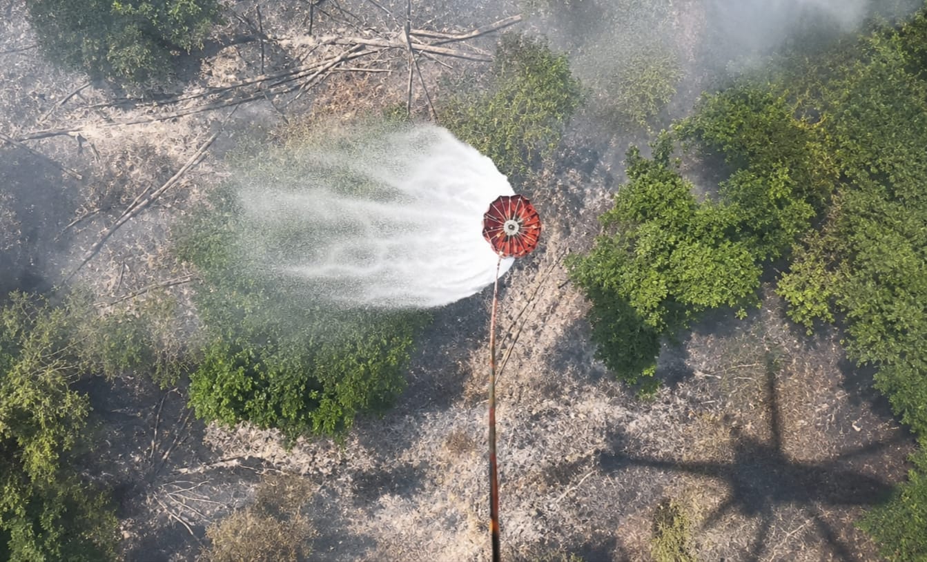 15 Kali Waterbombing Dikerahkan untuk Padamkan Karhutla di IKN
