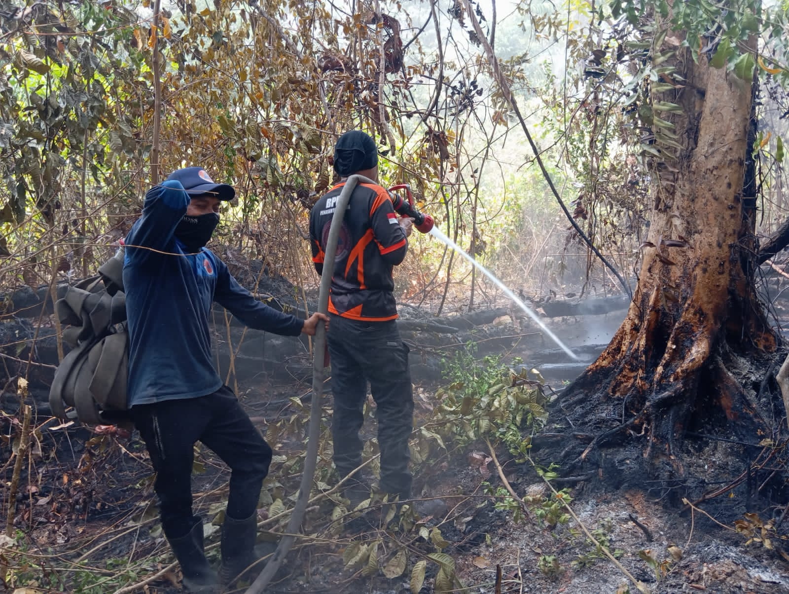 Petugas Karhutla PPU Bisa Bertugas 24 Jam, BPBD Siapkan Pemeriksaan Kesehatan