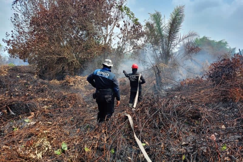 BPBD PPU Perpanjang Operasi Karhutla di Gambut Petung, 75 Personel Disiagakan