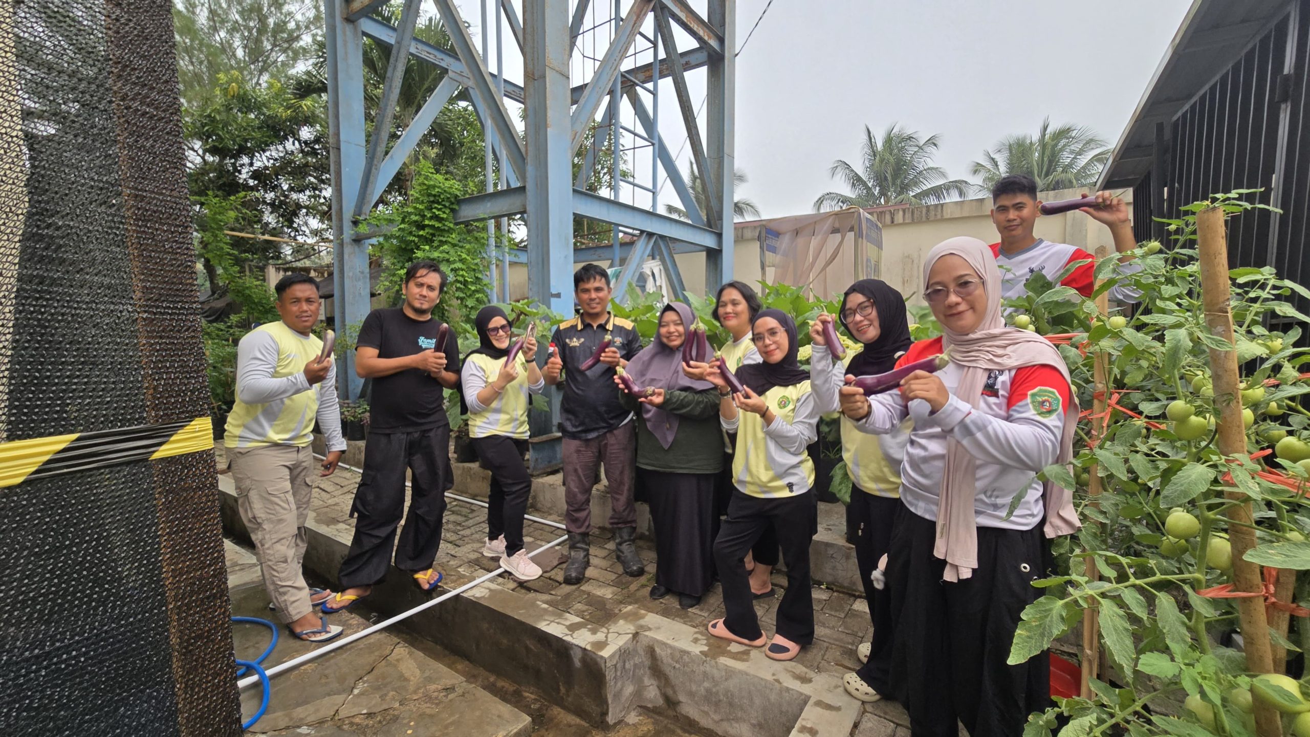 Distan PPU Ajak Keluarga Tanam Sayuran di Pekarangan, Perkuat Ketahanan Pangan