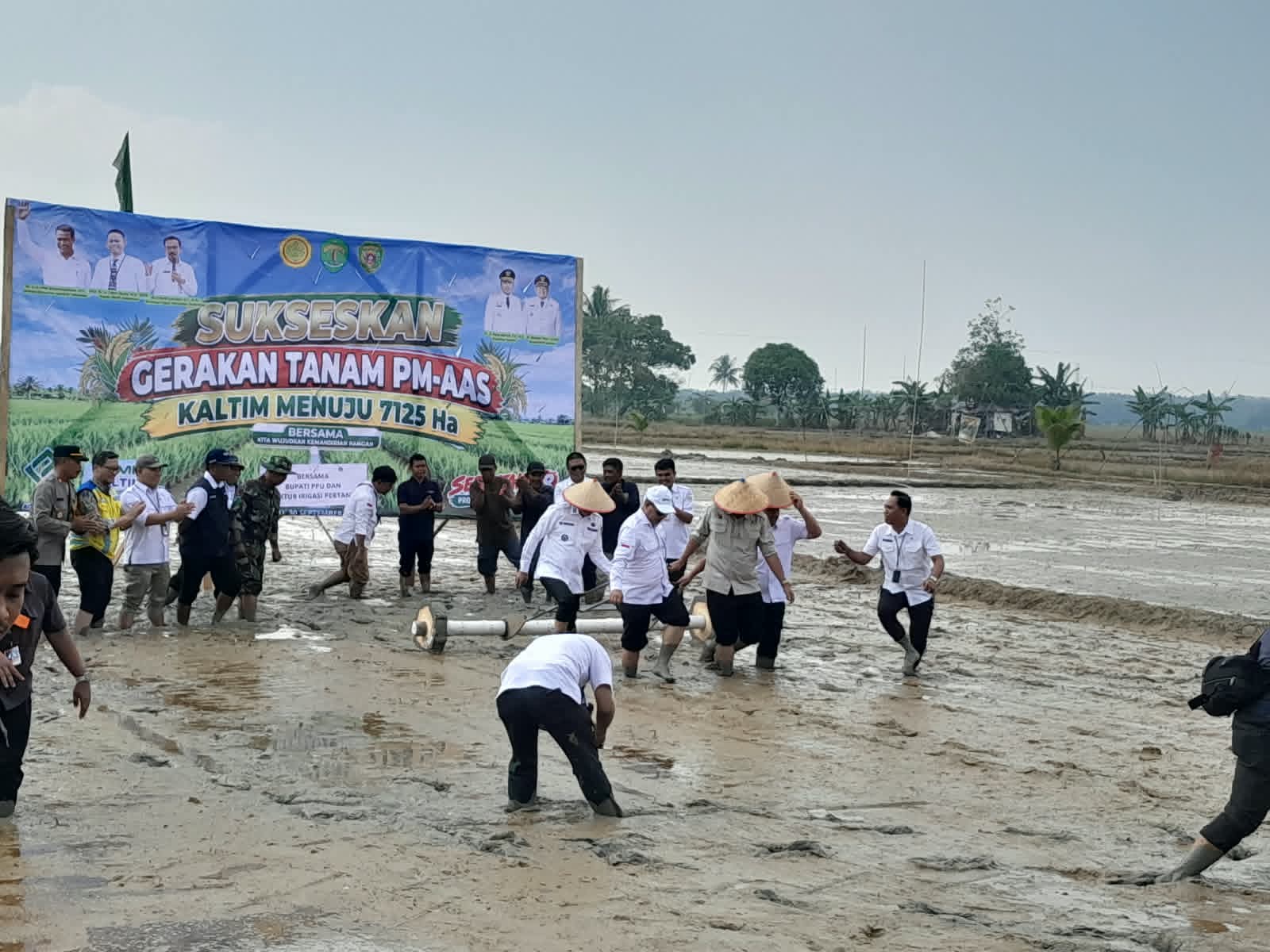 PPU Kejar Target 3.546 Hektare Pertanian Modern, Penggarapan Lahan Digenjot