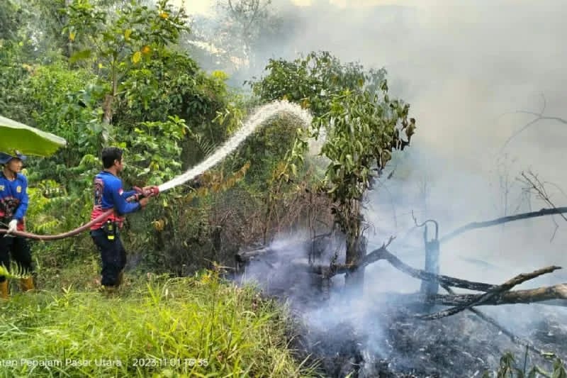 Beban Kerja Bertambah, Insentif Tambahan Petugas Damkar PPU Diupayakan