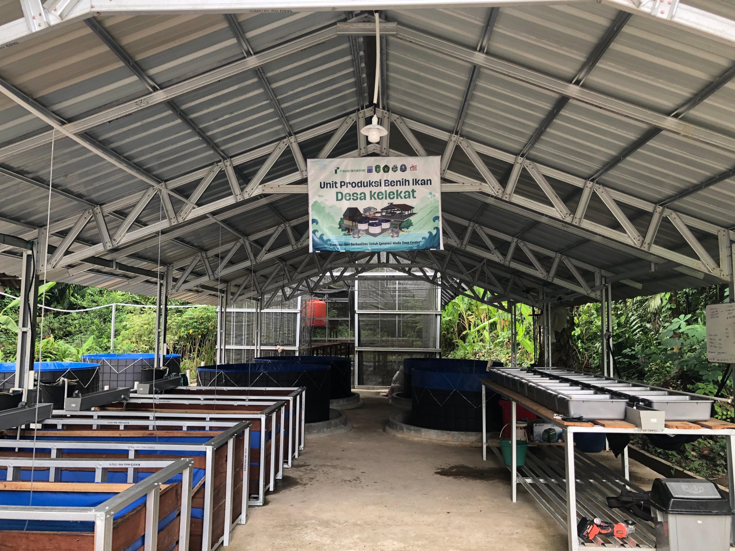 Pasokan Air Menipis, Sejumlah Unit Pembenihan Ikan di Kukar Berhenti Sementar