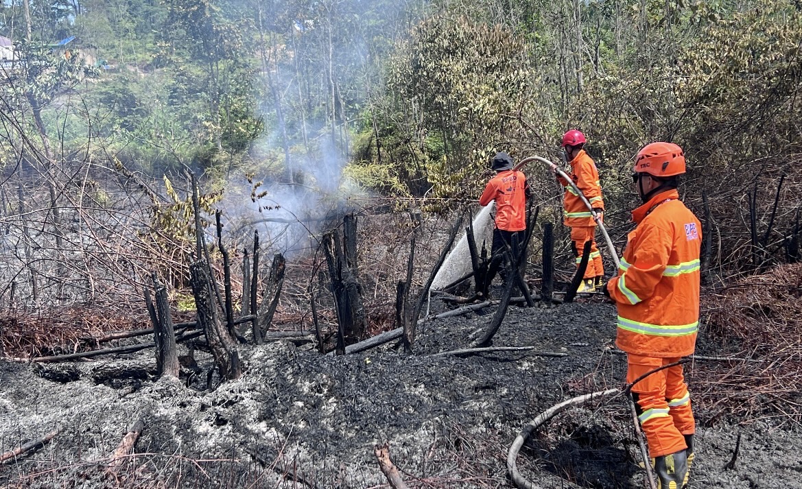 Karhutla Hanguskan 2 Hektar Lahan di Segah, BPBD Berau Turunkan Tim Gabungan