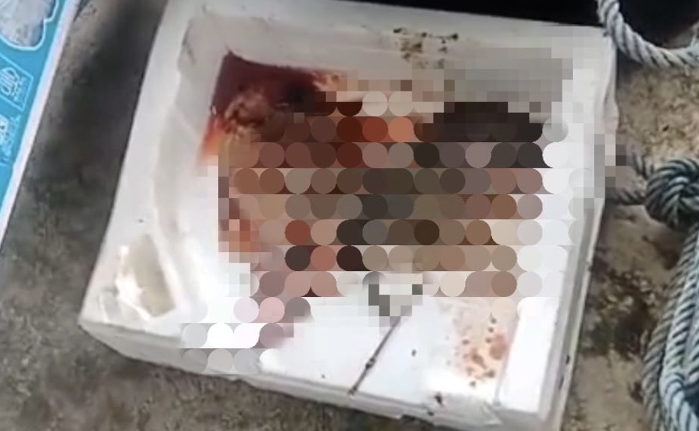 Geger! Warga Balikpapan Temukan Janin Mengapung