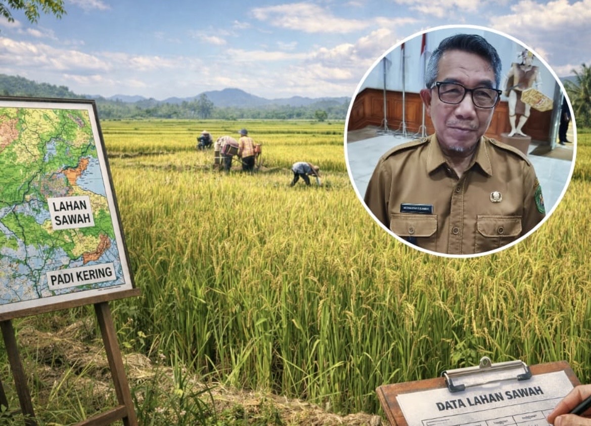 Lahan Luas Tapi Data Minim, Bupati Kutim Dorong Pendataan Sawah dan Padi Kering ?