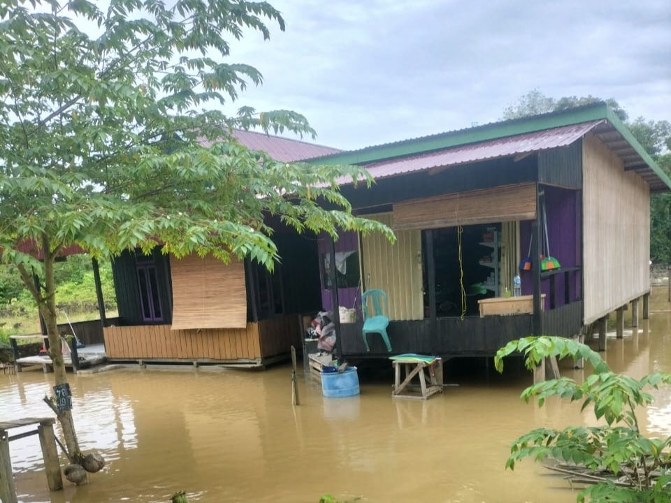 Banjir Rendam Tiga Desa di Kutai Timur, Warga Diminta Waspada Buaya!