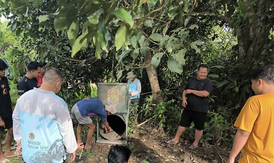 Beruang Madu Masuk Permukiman di Telen Kutim, BKSDA Turun Pasang Perangkap