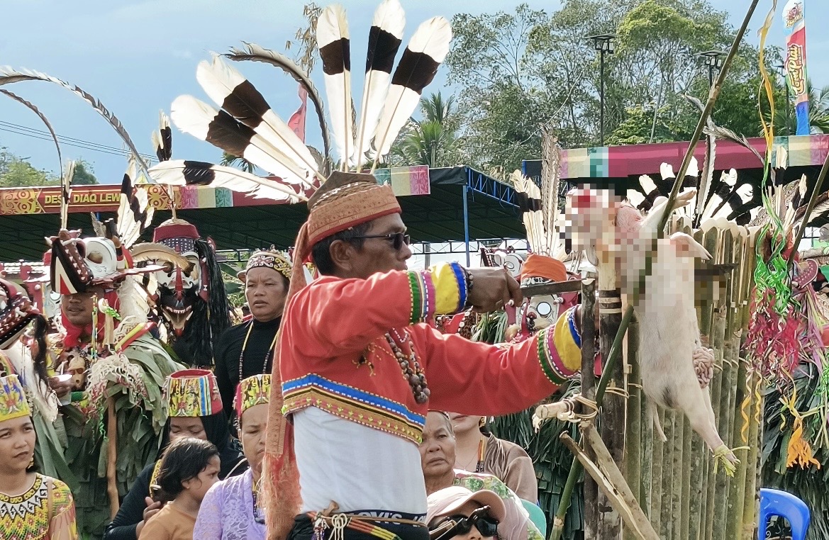 Kemenpar Hadir di Lom Plai 2026, Festival Budaya Kutim Makin Bersinar di Panggung Nasional