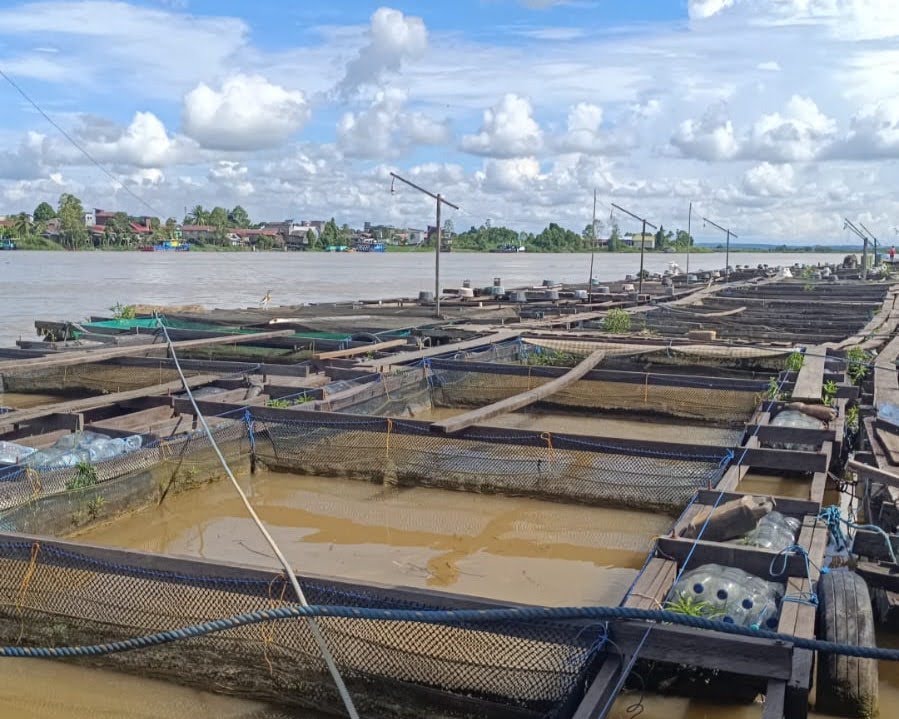DKP Kukar Pastikan Bantuan untuk Nelayan dan Pembudidaya Tetap Berjalan