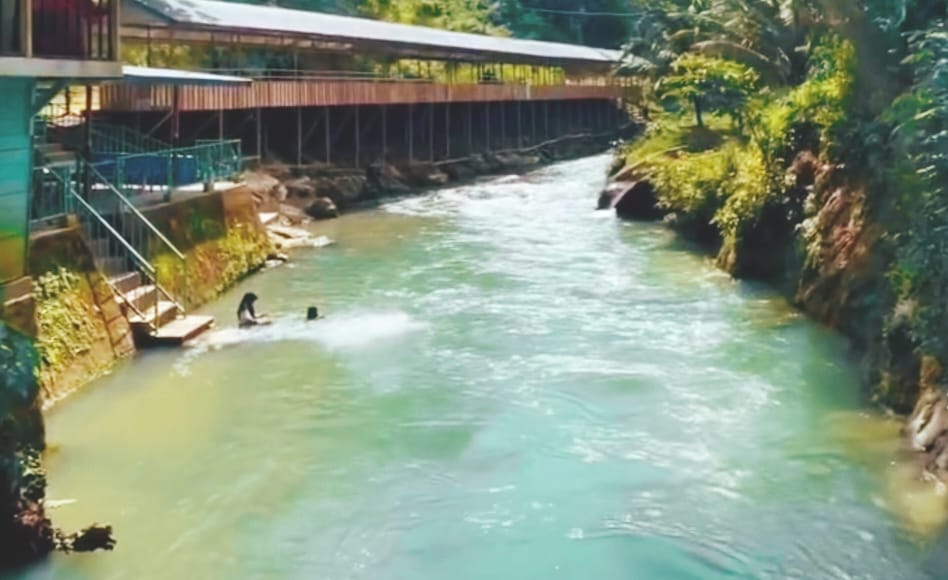 Jembatan Gantung Tua dan Keindahan Alam: Menikmati Pesona Pemandian Wisata Kasungai