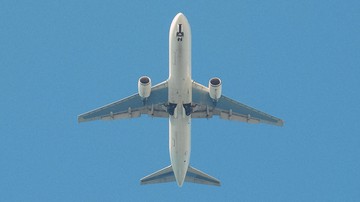 Hindari Lockdown, Pasangan India Gelar Pernikahan di Atas Jet