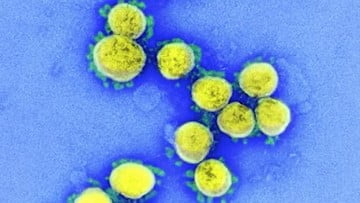 Hong Kong Larang Penerbangan 3 Negara Cegah Virus Mutasi