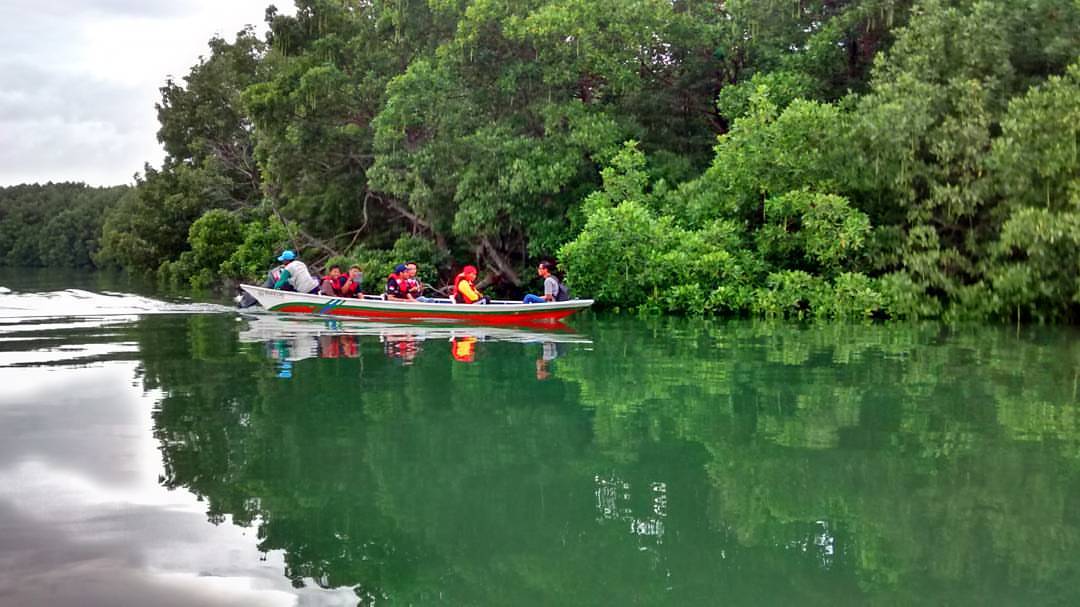 Wisata Sungai Belanda Bontang, Destinasi Mangrove Cantik yang Simpan Jejak Penjajahan Belanda