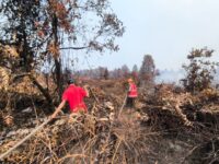 Penanganan Karhutla di Kukar (dok: Polda Kaltim)