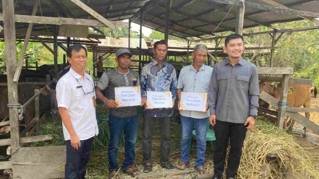 DPKH Kaltim bersama Anggota DPRD Kaltim, Andi Satya Adi Saputra saat menyalurkan bantuan hibah puluhan ekor sapi kepada kelompok tani di kawasan Jalan Trek Dayung Sukorejo, Kelurahan Lempake, Kota Samarinda, Rabu (14/10/2026).