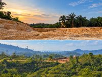 Lokasi yang diduga Tambang sektor MBLB / Galian C ilegal yang berada di Kabupaten Kutai Timur. dok : ist